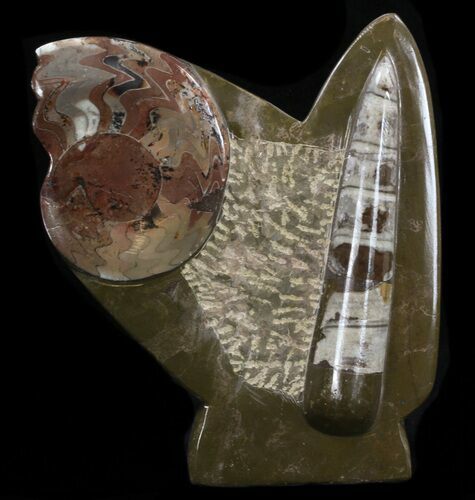 Fossil Goniatite & Orthoceras Sculpture - #38366